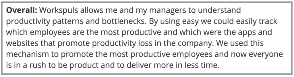 Workpuls Review: "Understand productivity patterns"