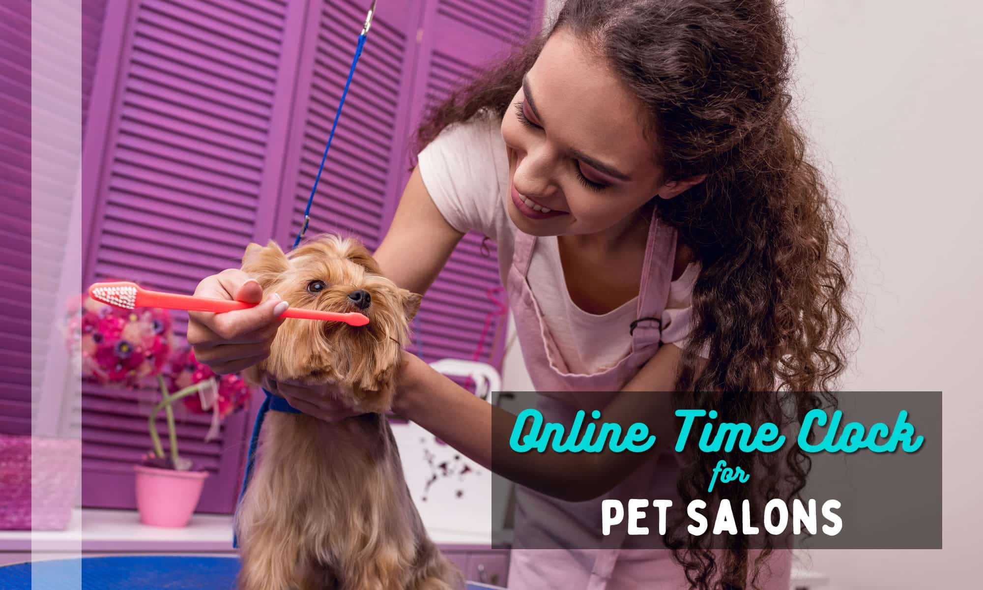 online time clock for pet salon