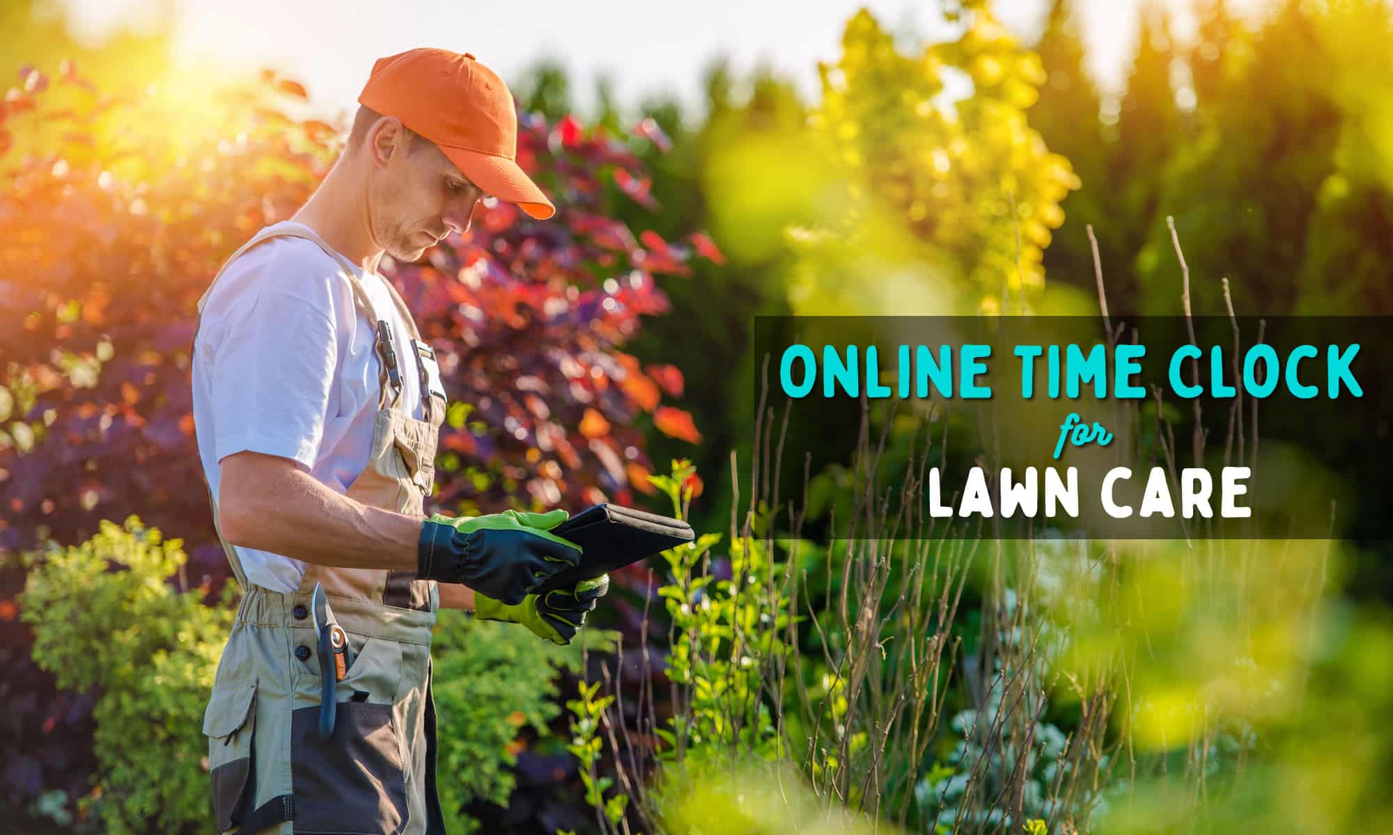 Online lawn shop service