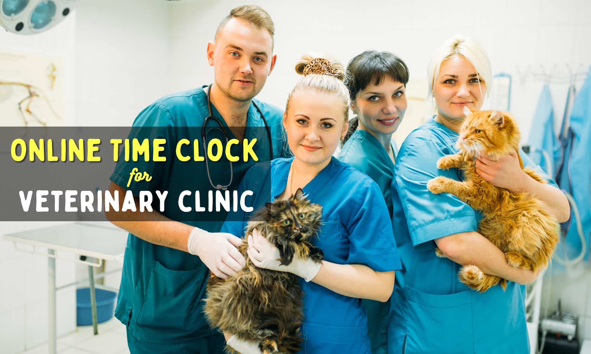 online time clock for veterinary clinic